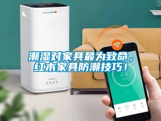 企業(yè)新聞潮濕對(duì)家具最為致命，紅木家具防潮技巧！