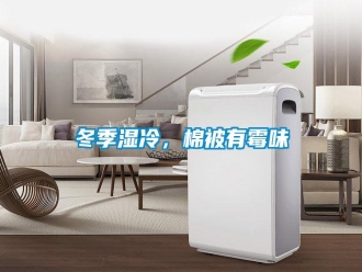 企業(yè)新聞冬季濕冷，棉被有霉味