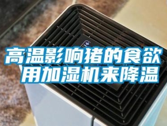 企業(yè)新聞高溫影響豬的食欲 用加濕機來降溫