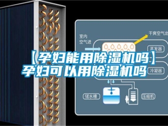 企業(yè)新聞【孕婦能用除濕機(jī)嗎】孕婦可以用除濕機(jī)嗎