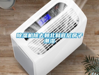 企業(yè)新聞除濕機除去朝北和底層房子潮濕