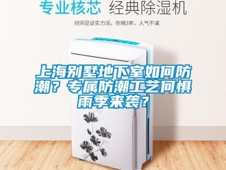 企業(yè)新聞上海別墅地下室如何防潮？專屬防潮工藝何懼雨季來襲？