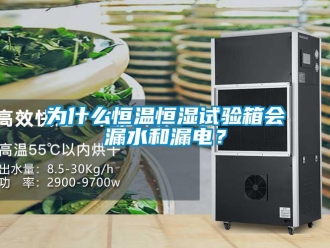 知識(shí)百科為什么恒溫恒濕試驗(yàn)箱會(huì)漏水和漏電？