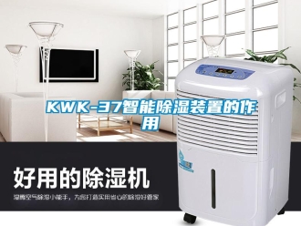 企業(yè)新聞KWK-37智能除濕裝置的作用