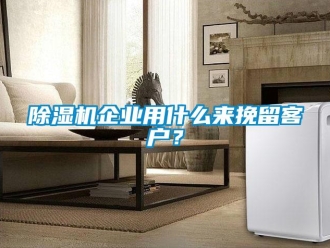 企業(yè)新聞除濕機(jī)企業(yè)用什么來挽留客戶？
