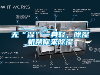 知識(shí)百科無“濕”一身輕，除濕機(jī)幫你來除濕