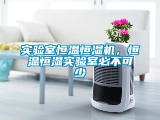 知識(shí)百科實(shí)驗(yàn)室恒溫恒濕機(jī)，恒溫恒濕實(shí)驗(yàn)室必不可少