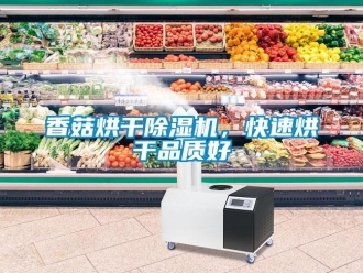知識(shí)百科香菇烘干除濕機(jī)，快速烘干品質(zhì)好