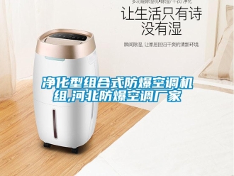 企業(yè)新聞凈化型組合式防爆空調(diào)機(jī)組,河北防爆空調(diào)廠家