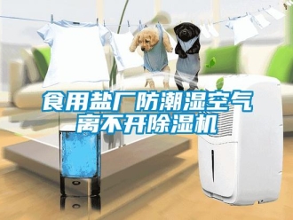 知識百科食用鹽廠防潮濕空氣離不開除濕機