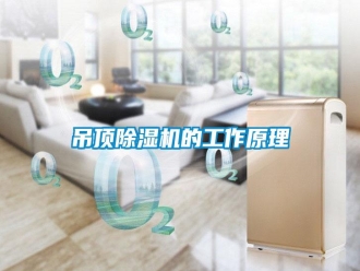 企業(yè)新聞吊頂除濕機(jī)的工作原理