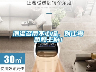 企業(yè)新聞潮濕多雨不心虛，別讓霉菌賴上你！