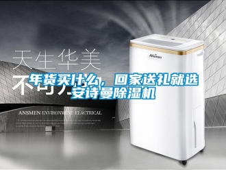 企業(yè)新聞年貨買什么，回家送禮就選安詩曼除濕機