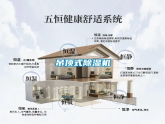 企業(yè)新聞吊頂式除濕機