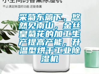 企業(yè)新聞采菊東籬下，悠然見南山，金絲皇菊花的加工生產(chǎn)提高產(chǎn)能，升溫型烘干工業(yè)除濕機(jī)