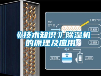 企業(yè)新聞《技術(shù)知識(shí)》除濕機(jī)的原理及應(yīng)用
