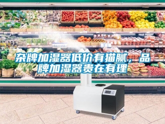 知識百科雜牌加濕器低價有貓膩，品牌加濕器貴在有理