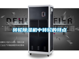 知識(shí)百科轉(zhuǎn)輪除濕機(jī)中轉(zhuǎn)輪的特點(diǎn)