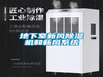 企業(yè)新聞地下室新風除濕機和新風系統(tǒng)