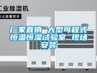 知識百科廠家直銷 大型可程式恒溫恒濕試驗(yàn)室 現(xiàn)場安裝