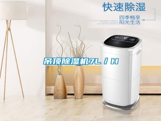 企業(yè)新聞吊頂除濕機(jī)7L／H