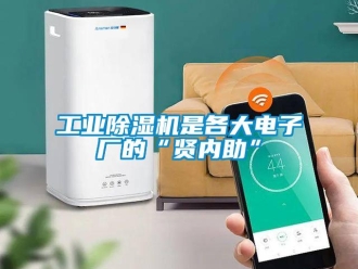 企業(yè)新聞工業(yè)除濕機(jī)是各大電子廠的“賢內(nèi)助”