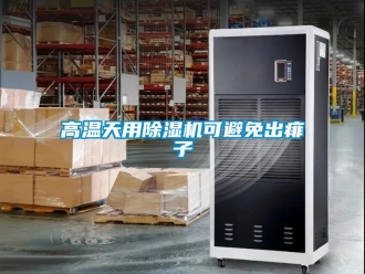 企業(yè)新聞高溫天用除濕機可避免出痱子
