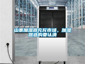 知識(shí)百科山寨加濕器充斥市場(chǎng)，加濕器選購(gòu)要認(rèn)清