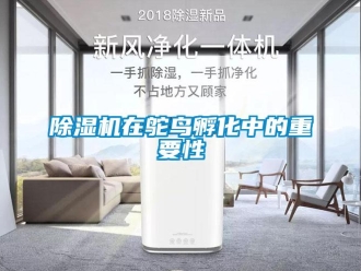 企業(yè)新聞除濕機(jī)在鴕鳥孵化中的重要性