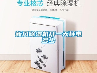 知識百科新風(fēng)除濕機開一天耗電多少