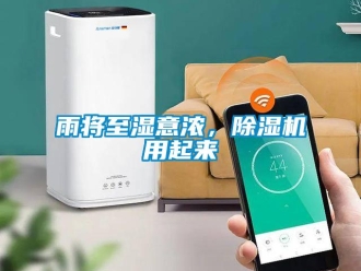 知識百科雨將至濕意濃，除濕機用起來