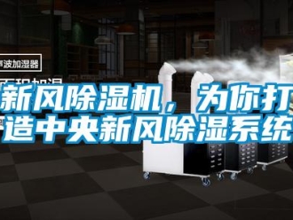 知識(shí)百科新風(fēng)除濕機(jī)，為你打造中央新風(fēng)除濕系統(tǒng)