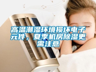 企業(yè)新聞高溫潮濕環(huán)境損壞電子元件，夏季機房除濕更需注意