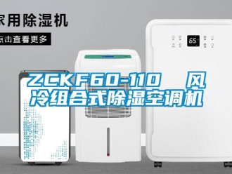 企業(yè)新聞ZCKF60-110  風(fēng)冷組合式除濕空調(diào)機(jī)