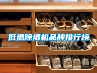 企業(yè)新聞低溫除濕機品牌排行榜