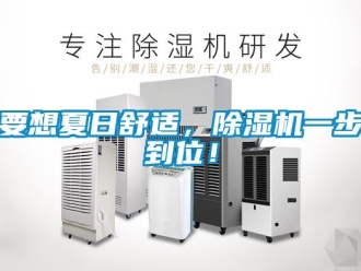 知識(shí)百科要想夏日舒適，除濕機(jī)一步到位！