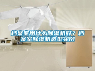 企業(yè)新聞檔案室用什么除濕機(jī)好？檔案室除濕機(jī)選型實(shí)例