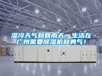 知識(shí)百科濕冷天氣和回南天，生活在廣州需要除濕機(jī)和勇氣！
