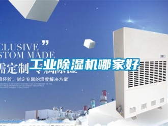 企業(yè)新聞工業(yè)除濕機(jī)哪家好
