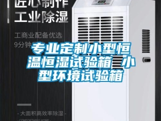知識(shí)百科專業(yè)定制小型恒溫恒濕試驗(yàn)箱 小型環(huán)境試驗(yàn)箱