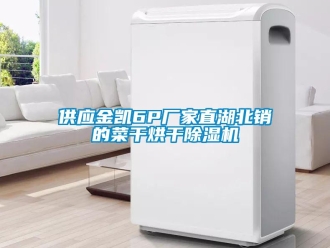 企業(yè)新聞供應(yīng)金凱6P廠家直湖北銷的菜干烘干除濕機