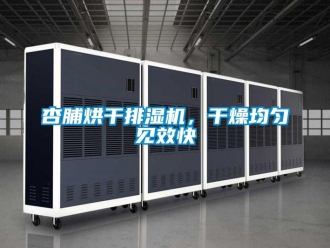知識百科杏脯烘干排濕機，干燥均勻見效快