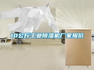 企業(yè)新聞10公斤工業(yè)除濕機(jī)廠家報(bào)價(jià)