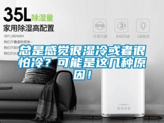 知識百科總是感覺很濕冷或者很怕冷？可能是這幾種原因！