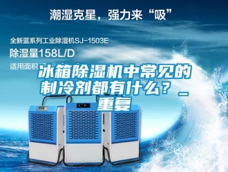 企業(yè)新聞冰箱除濕機(jī)中常見的制冷劑都有什么？_重復(fù)