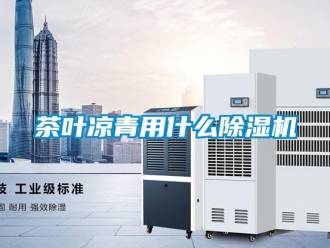 企業(yè)新聞茶葉涼青用什么除濕機(jī)