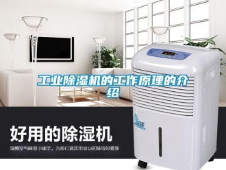企業(yè)新聞工業(yè)除濕機(jī)的工作原理的介紹