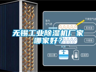知識百科無錫工業(yè)除濕機(jī)廠家哪家好？