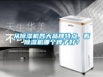 企業(yè)新聞從除濕機各大品牌特點, 看除濕機哪個牌子好？