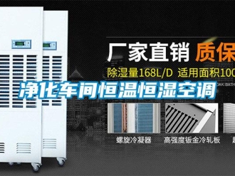 知識(shí)百科凈化車間恒溫恒濕空調(diào)